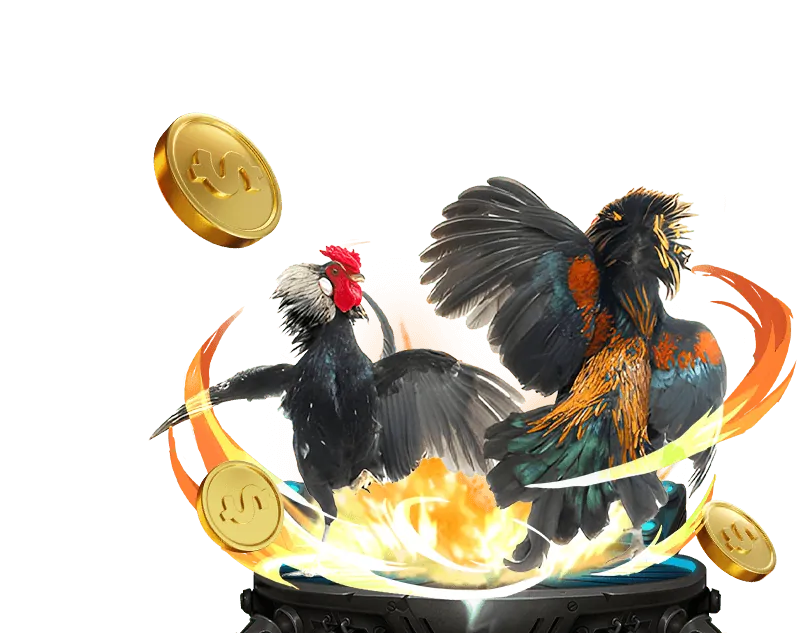 Video slot hiện đại với đồ họa 3D và nhiều tính năng
