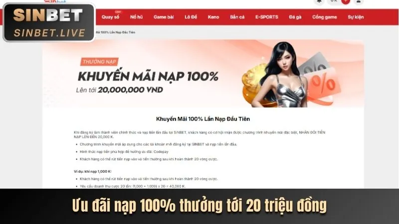 Hoàn trả thể thao vswin login